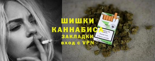молекула духа Богданович