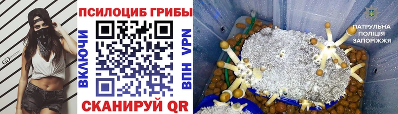 Галлюциногенные грибы GOLDEN TEACHER Мегион